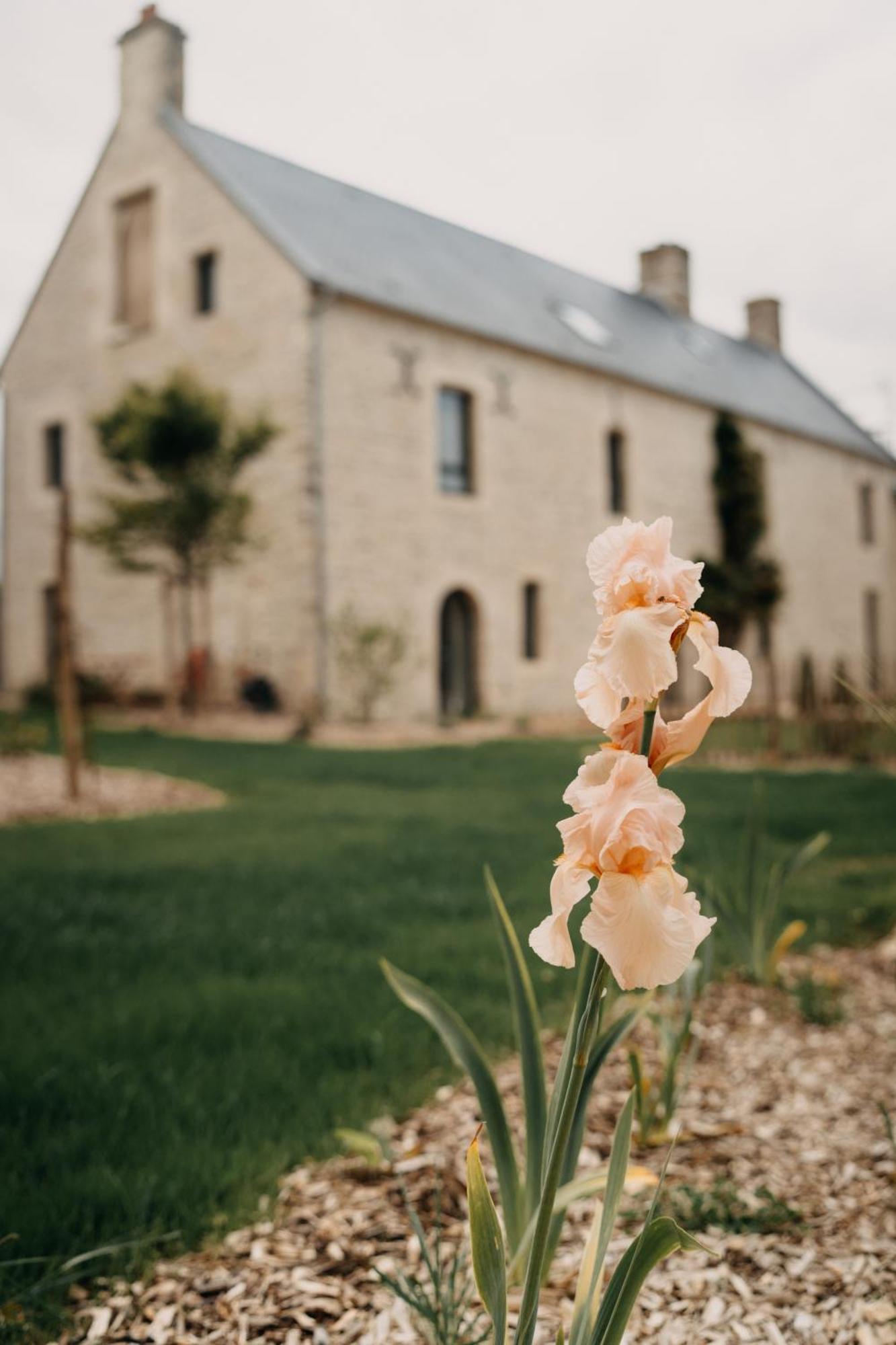 Le Clos D'omaha